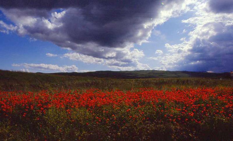 203-Melfi,15 maggio 1988.jpg